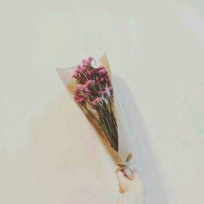 魔法师与狗游戏下载