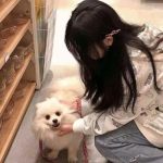 古灵精怪变态版